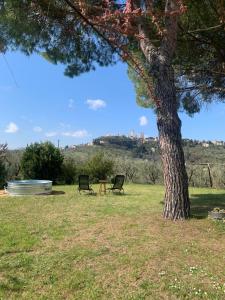 Il Casale della Gazza Ladra - Towers View