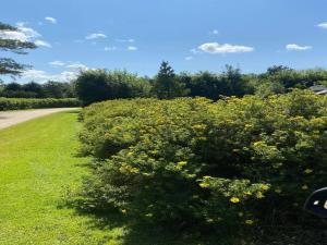 Holiday Home Vilhelm - 10km from the sea by Interhome