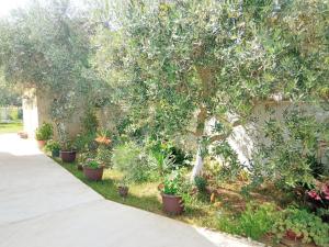 Apartment Rosa