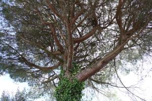 Masseria Cielo Cielo - DIEMME STAY
