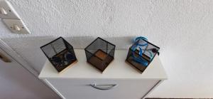 Le Nova blue les pieds dans leau