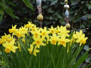 Ferienhof von Hammel