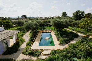 Puglian Farmhouse Near Alberobello Trulli