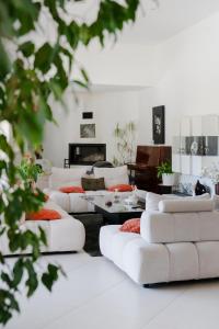 Contemporary Villa in Provence with pool, ideal for 6 Guests