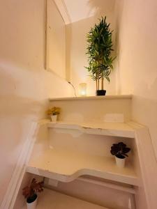Apartment 5 mins walk to St Pauls Cathedral