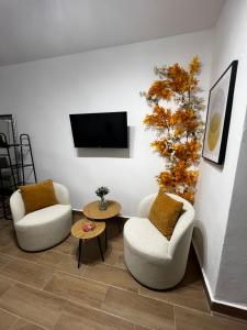 Apartamento Mamalú Jerez