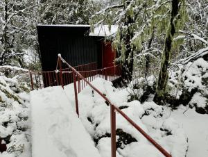 M Refugio 6 Hualle I 6 personas I Tinaja I Bosque nativo