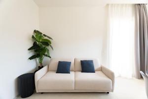 Solymar by MONHOLIDAY