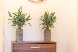 Comfortable Stay for 3 | 2BR | Free Parking