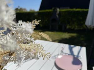Chalet Het Duinhuisje - 4 personen - Huisdier toegelaten