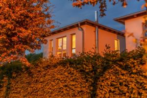 Ferienhaus an der alten Gärtnerei - Lavendel