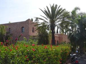 Villa des 1001 Étoiles à Essaouira - grande piscine