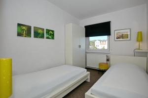 Macoma Baltica Wohnung 03