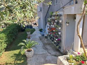 Seba Apartments