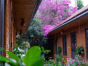 Tam Coc Viet Ha Homestay
