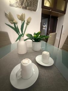 incantevole e storico appartamento in pieno centro