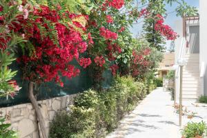 Sirios Village Hotel & Bungalows -Inclusive