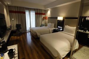Radisson Hotel Agra