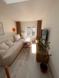 COMFISTAY Reymonta 8A - Old Town Elegance City Center