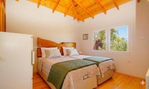 Coollyhouse Keklik tepe Urla