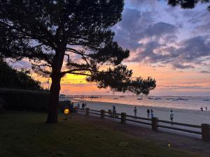 Studio vue mer - direct plage