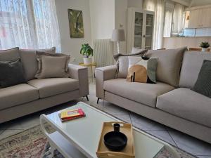 Ioannina Contemporary Apartment