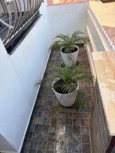 perle de dakhla