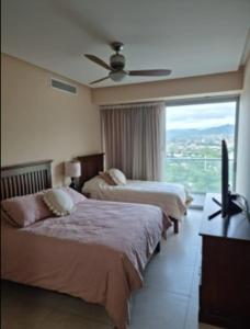 Peninsula Puerto Vallarta beachfront condos