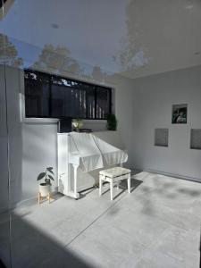 Skylit Suite, Desk, BBQ, Free Park, 20 min CBD