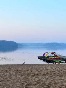 Forrest Visaginas - Studio apartment