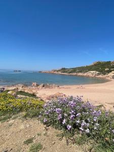 Sea View Isola Rossa Apartment 5