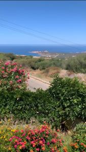 Sea View Isola Rossa Apartment 5