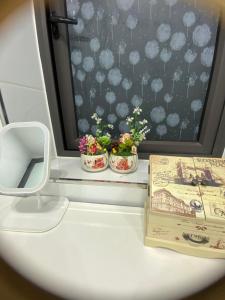 Homestay TTTP Hải Phòng