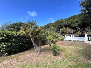Villa Vittorio img54