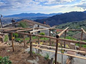 Podere il Leccio