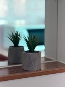 Kesk Central Apartment