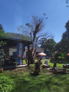 Casa113