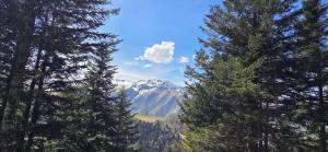 Chalet Fontaine 54