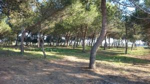 Masseria Monticchio