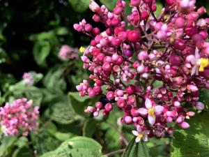 Casa Caracara top floor