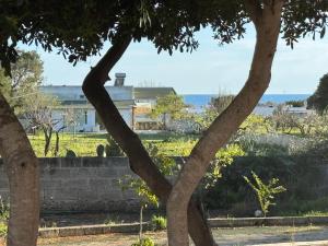 Villa Oronzo