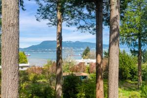 Cozy Private Room Near UBC & Pacific Spirit Park