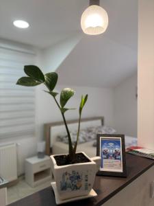 Apartman Diamond LUX