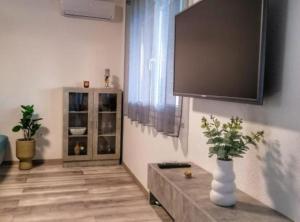 Apartment Penthouse Ivan