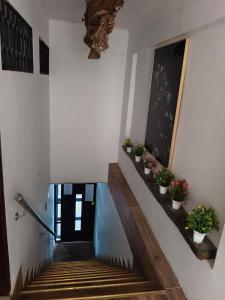 Alojamiento con 3 acomodaciones en zona central Santa Marta