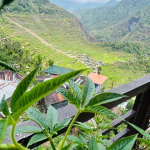 Batad Pension and Restaurant Native House