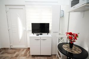 Studio Mjesec