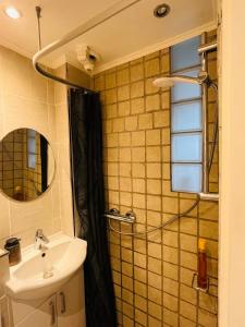 Newly renovated apartment on Amager