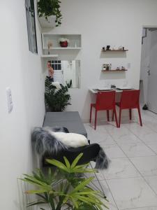 Kitnet 102