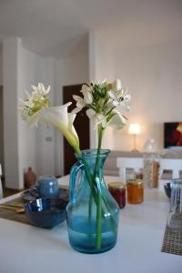 Turquoise Horizon img13